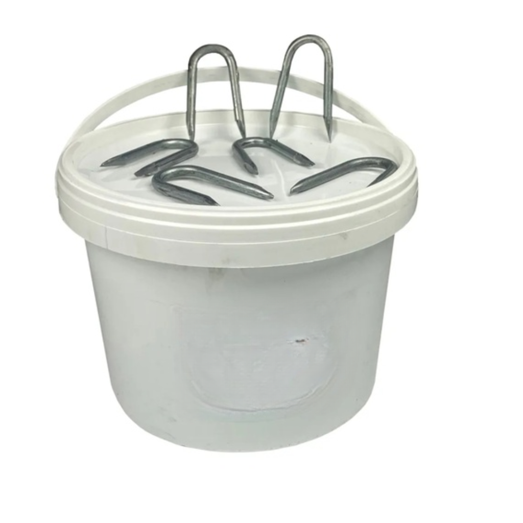 Galvanised Staples 65mm